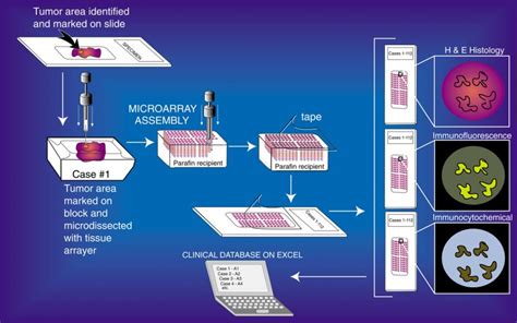 hur görs antigentest